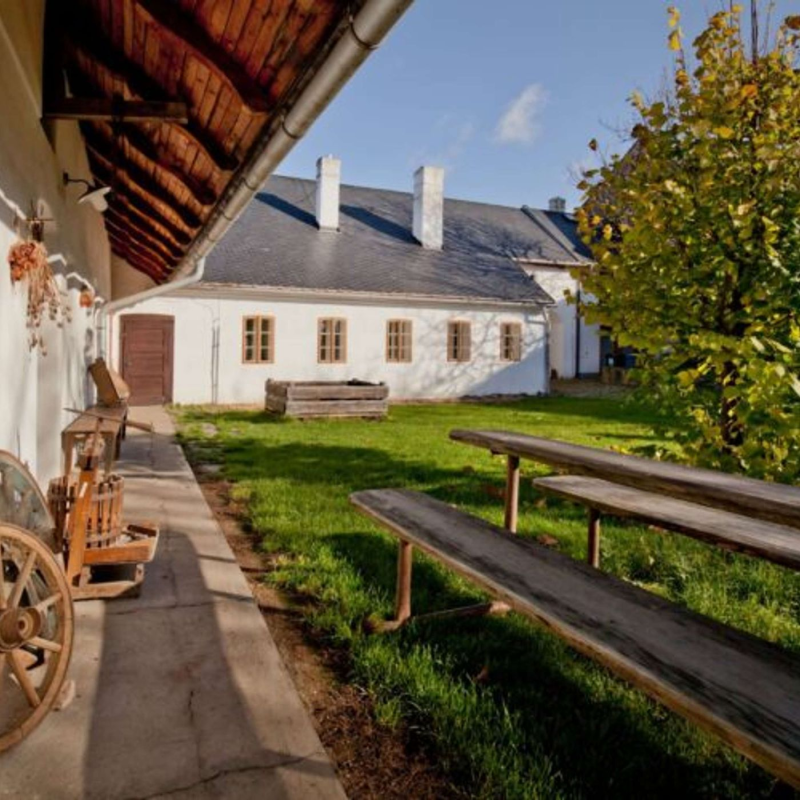 Obrázek epizody Vzhůru do Olomouckého kraje: Poznejte život našich předků, tajemství výroby olomouckých tvarůžků i obec plnou muzeí