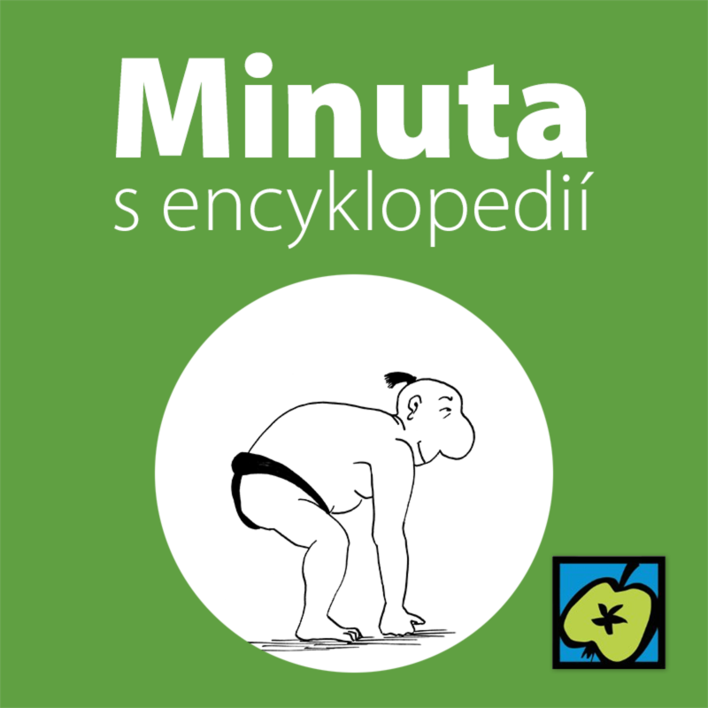 Obrázek epizody Sumo