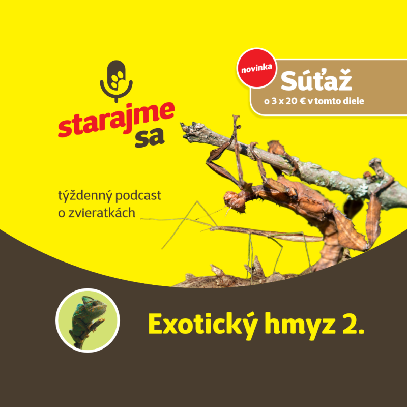 Obrázek epizody Teraristika: Exotický hmyz 2.