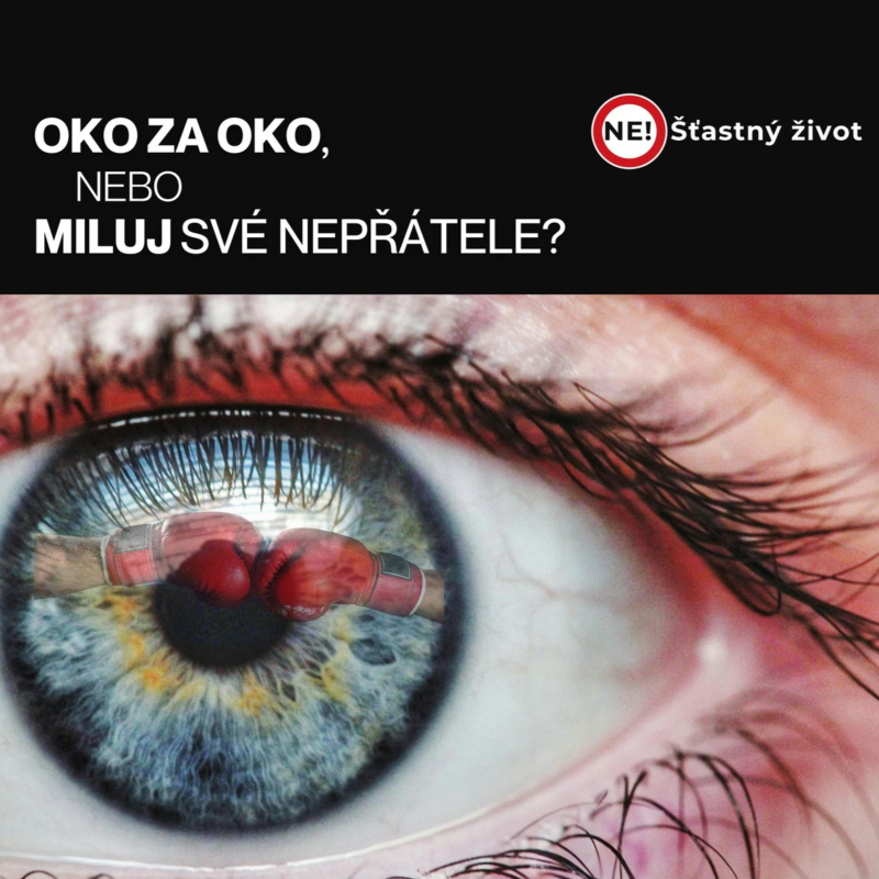 Obrázek epizody Ne! Šťastný život: 5. část - Oko za oko, nebo miluj své nepřátele?