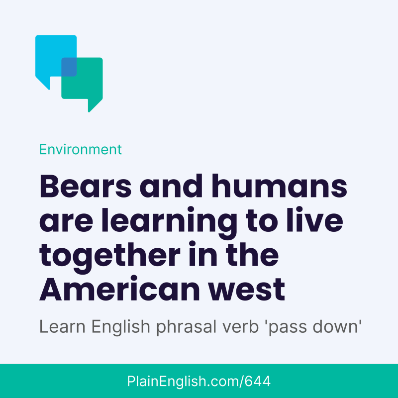 Obrázek epizody Meet the new neighbor: he's a grizzly bear (Pass down)