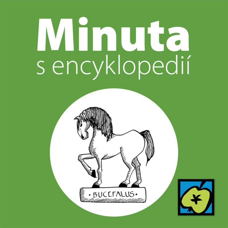 Obrázek epizody Kůň