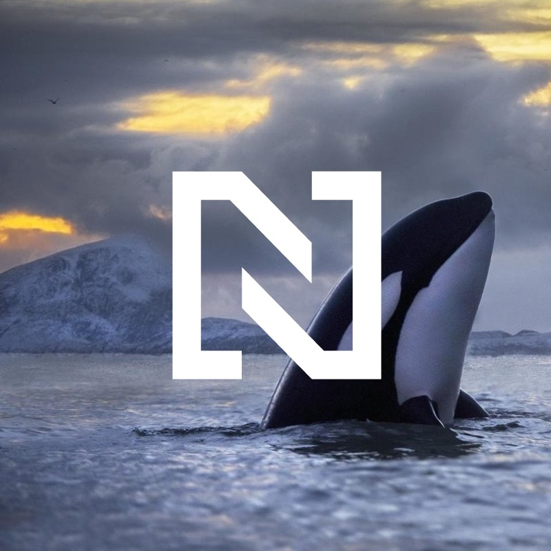 Obrázek epizody O kosatkách, které už nás mají plné zuby