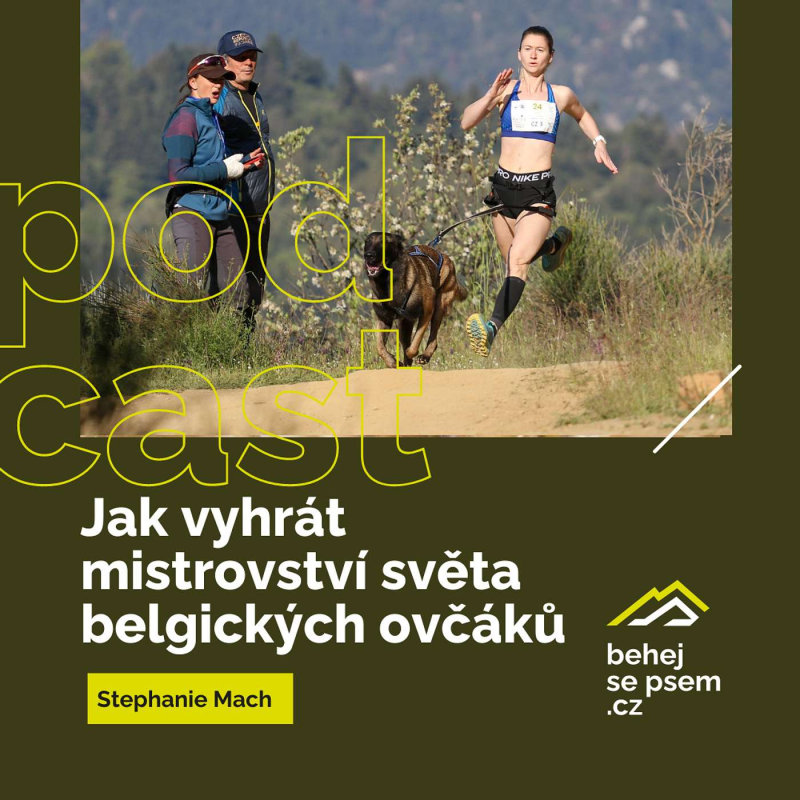 Obrázek epizody Jak vyhrát mistrovství světa belgických ovčáků? | Stephanie Mach