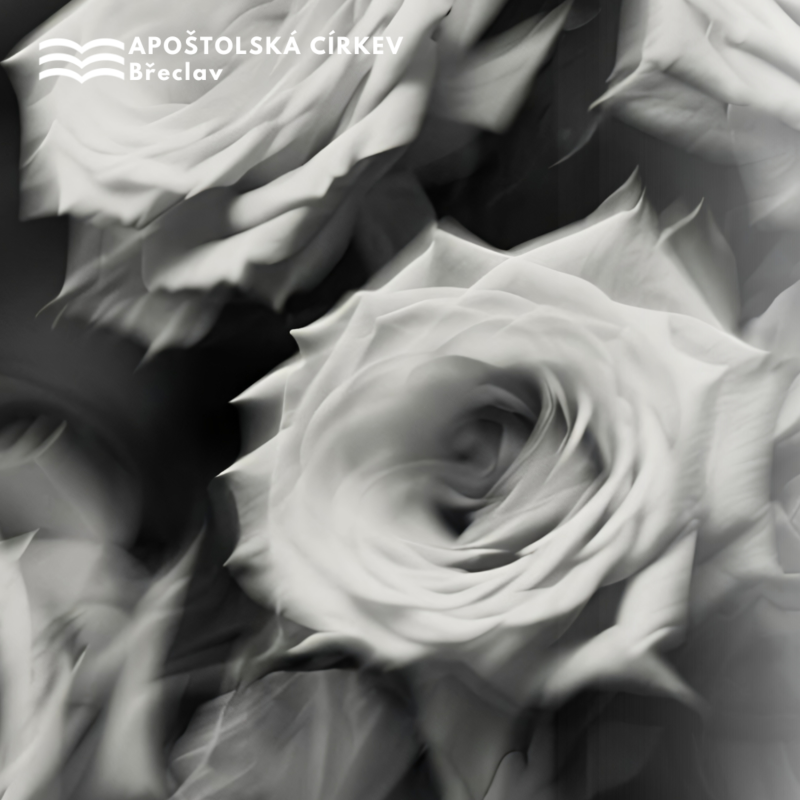 Obrázek epizody Vůně k životu a ke smrti - Petr Helešic