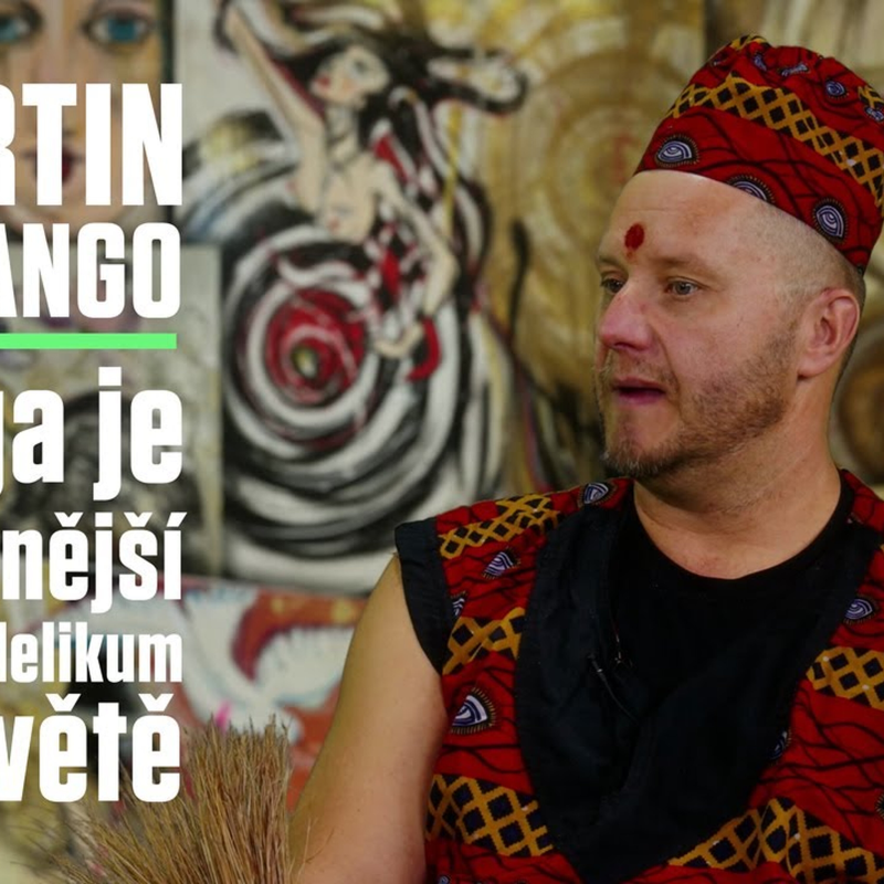 Obrázek epizody Martin Halla: Co bolí, je probouzení ze lží. Iboga, nejsilnější psychadelikum, ti zboří EGO
