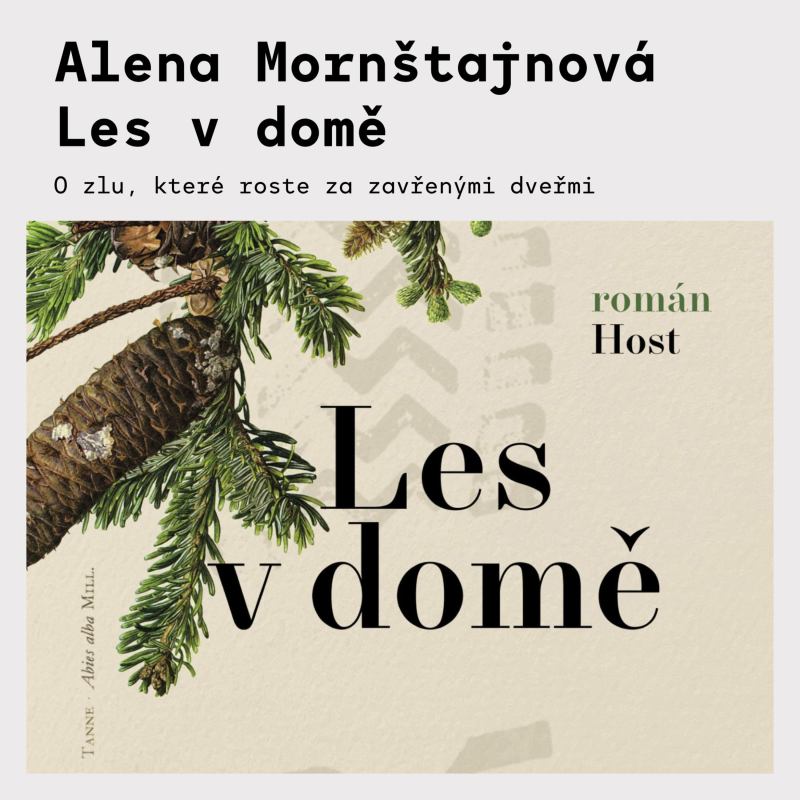 Obrázek epizody Alena Mornštajnová - Les v domě
