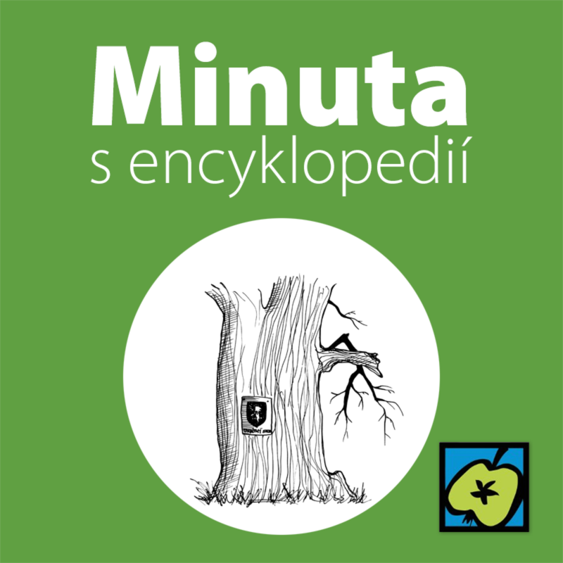 Obrázek epizody Památné stromy