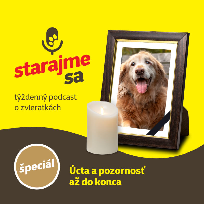 Obrázek epizody Špeciál: Úcta a pozornosť až do konca