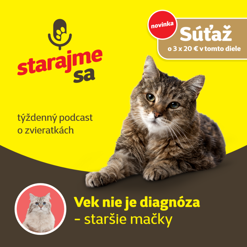 Obrázek epizody Mačky: Vek nie je diagnóza - staršie mačky