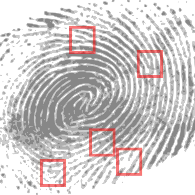 Obrázek epizody Vrah z erotické linky