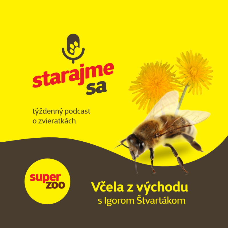 Obrázek epizody Špeciál: Včela z východu