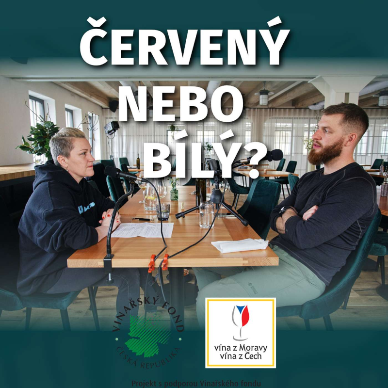 Obrázek epizody 006: Moderní enologie s Jakubem Smrčkou z vinařství THAYA