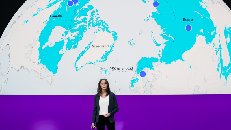 Obrázek epizody How ancient Arctic carbon threatens everyone on the planet | Sue Natali