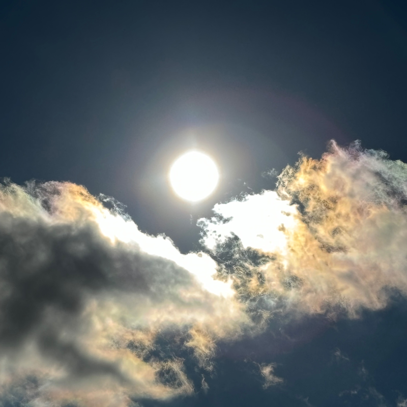 Obrázek epizody The Devil that we know