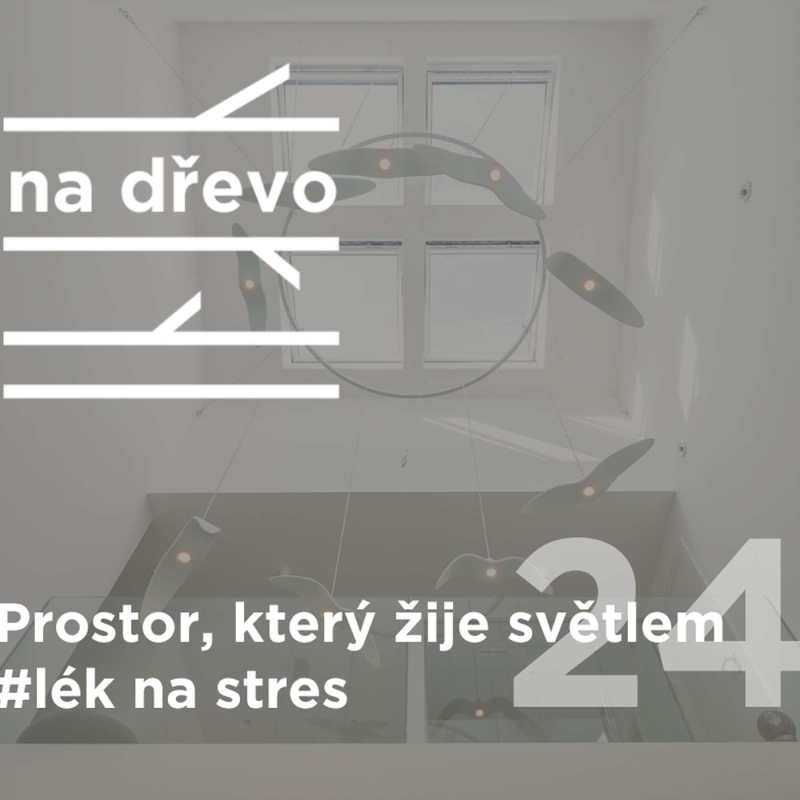Obrázek epizody PROSTOR, KTERÝ ŽIJE SVĚTLEM #lék na stres#24