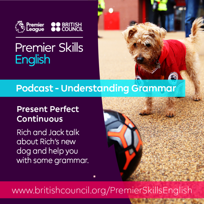 Obrázek epizody Understanding Grammar: Present Perfect Continuous