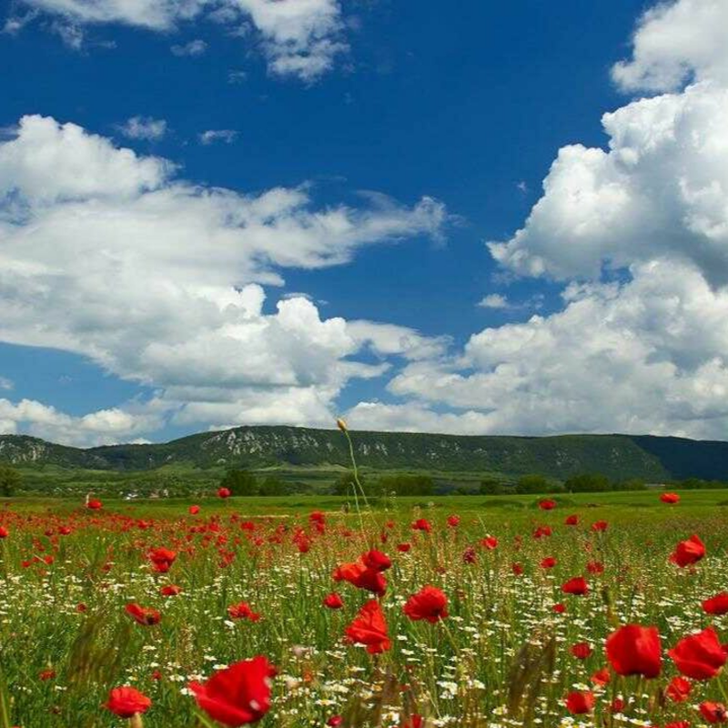 Obrázek epizody Poluce a menstruace - Petr Vaďura