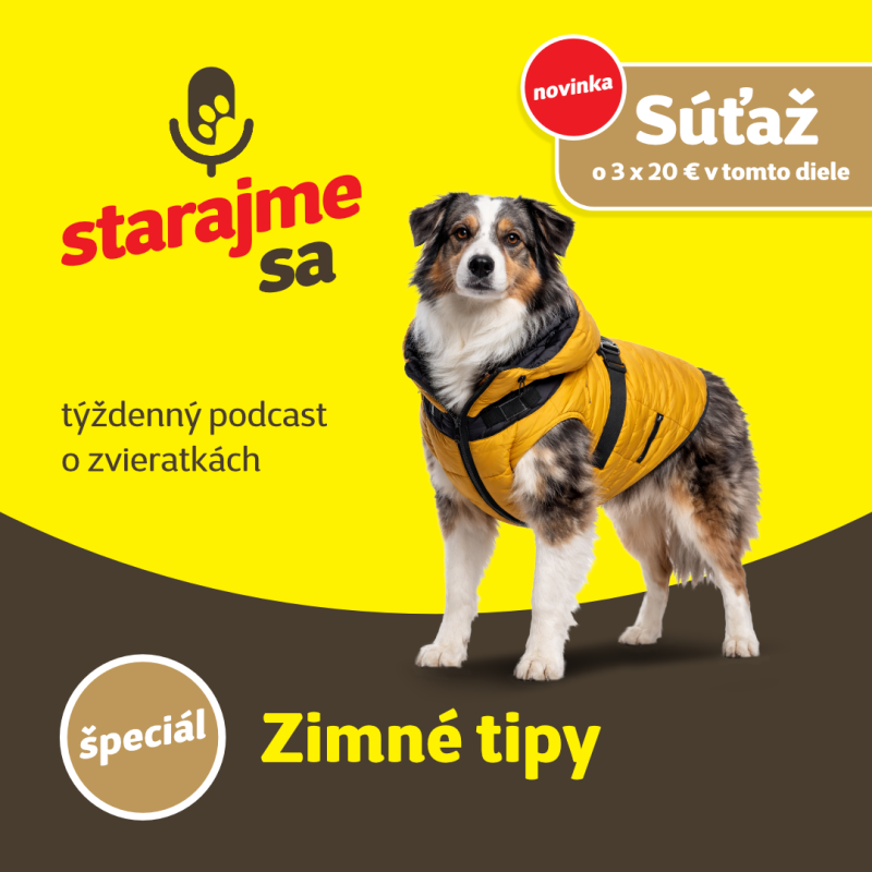 Obrázek epizody Špeciál: Zimné tipy