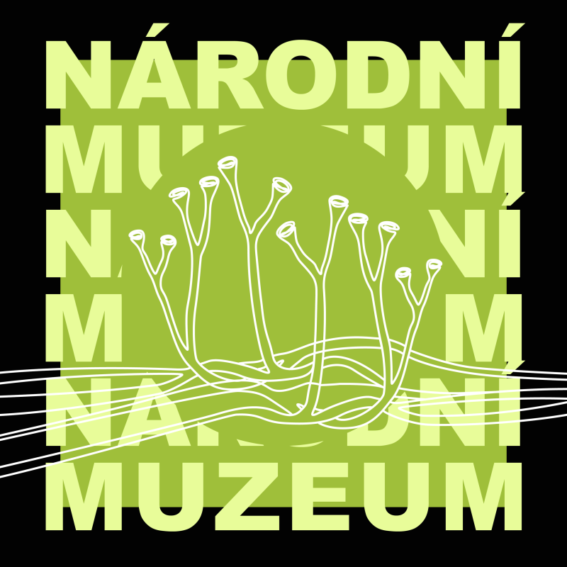 Obrázek epizody #6 Objev nejstarší rostliny na světě