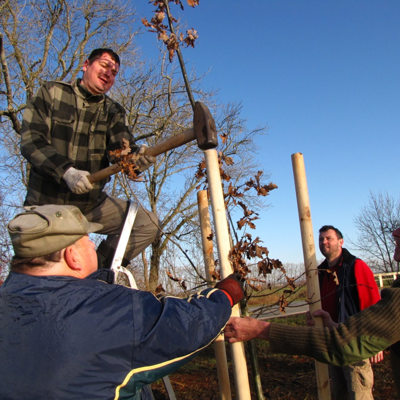 Obrázek epizody Offsetové projekty