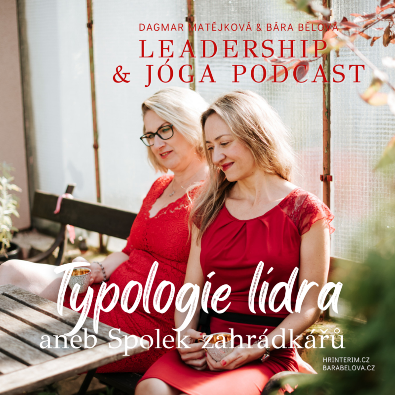 Obrázek epizody Typologie lídra