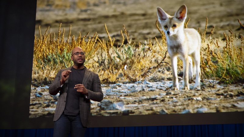 Obrázek epizody How life on Earth adapts to you and me | Shane Campbell-Staton