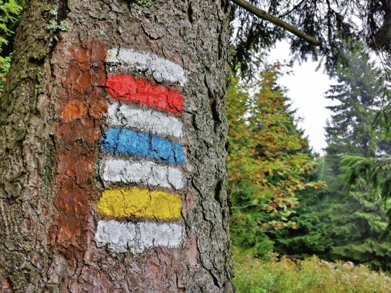 Ozvěny minulosti