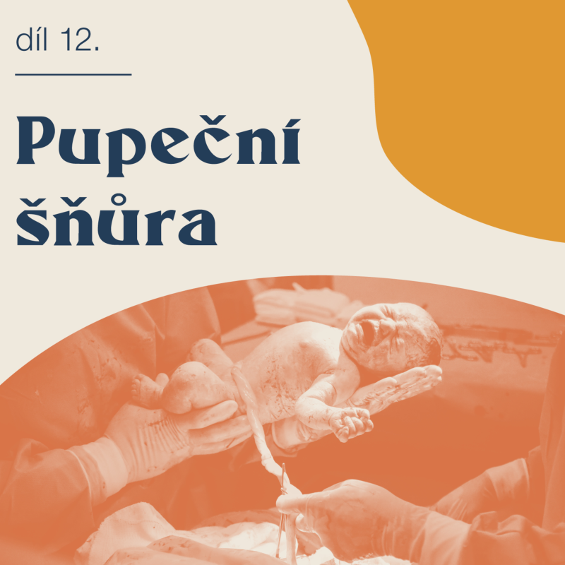 Obrázek epizody # 12 Pupeční šňůra