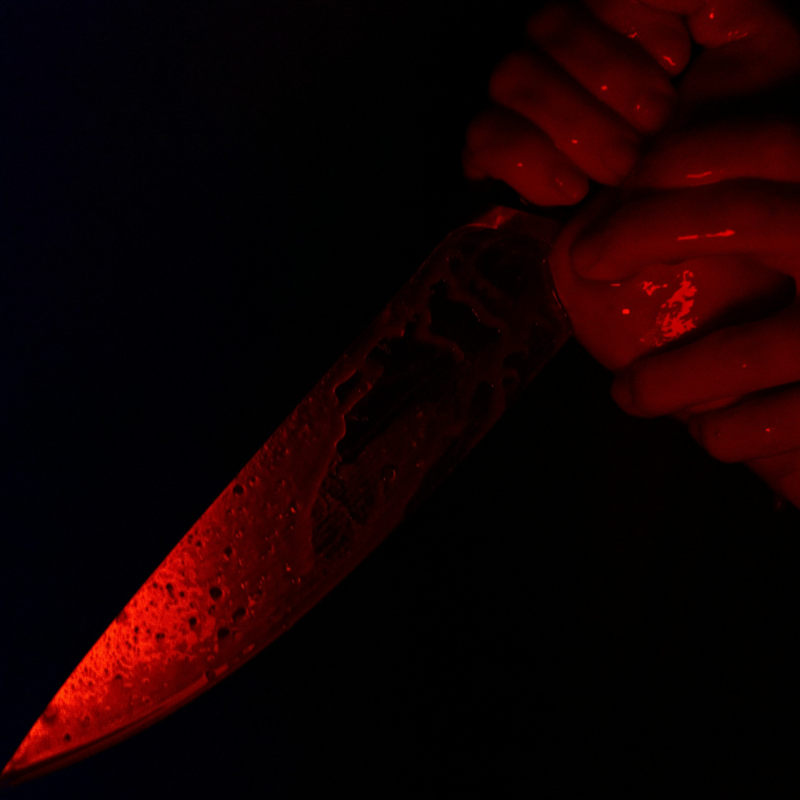 Obrázek epizody Vražda nejlepšího kamaráda: případ Tomáše a Judity