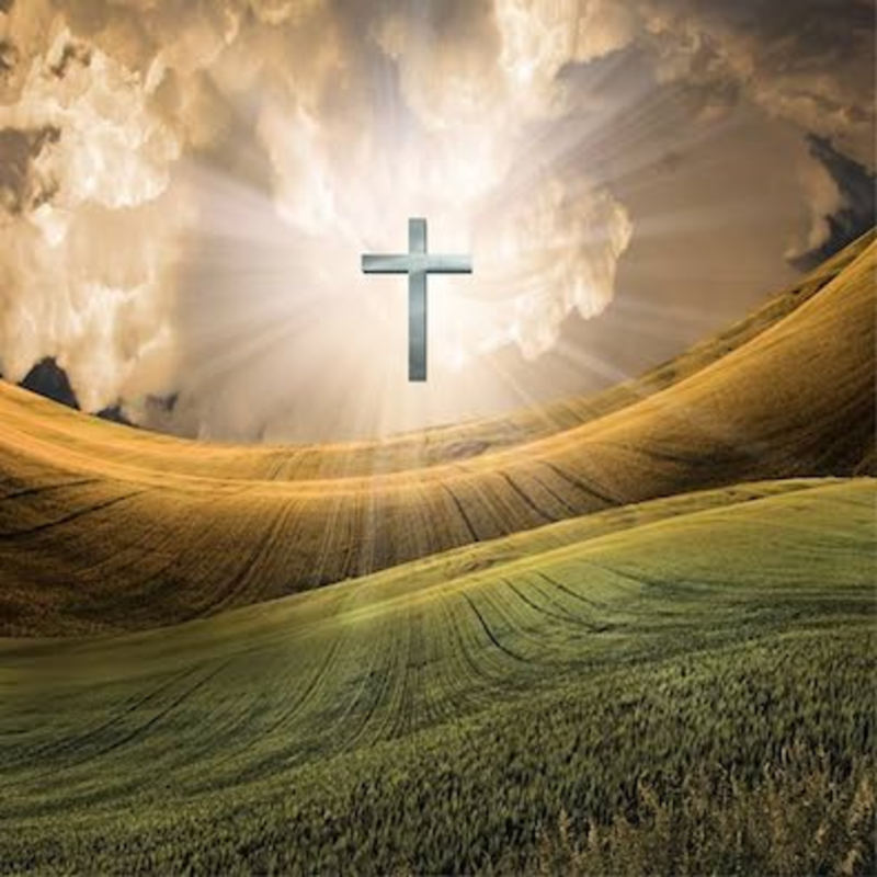 Obrázek epizody Bůh oslavuje kreativitu v nás.