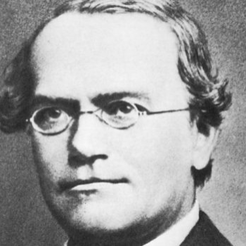 Obrázek epizody 20. července: Den, kdy se narodil Johann Mendel