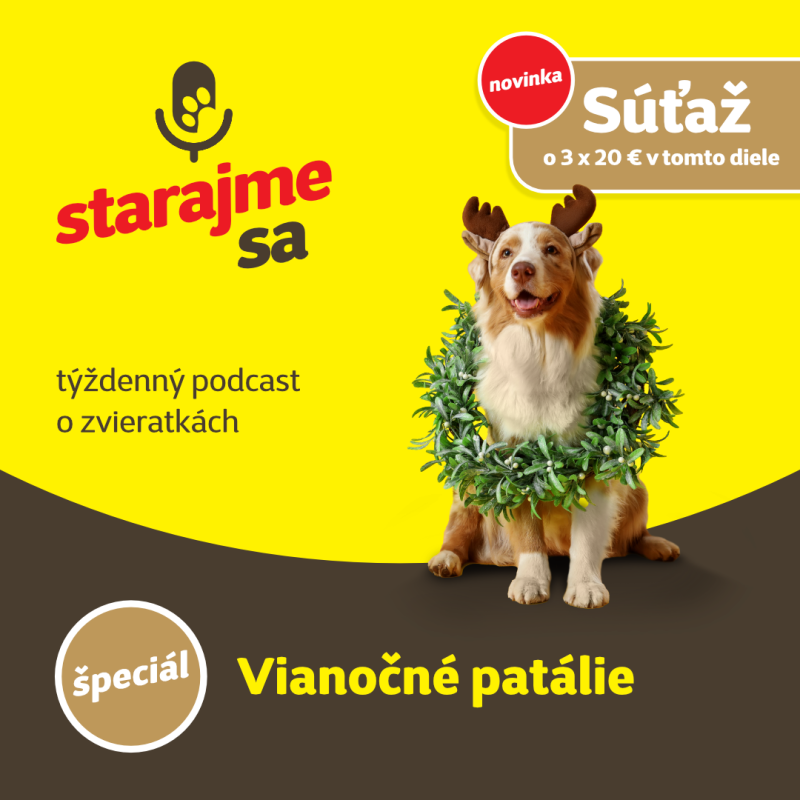 Obrázek epizody Špeciál: Vianočné patálie