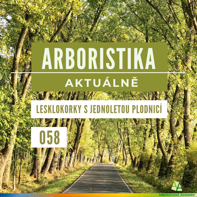 Obrázek epizody Lesklokorky s jednoletou plodnicí - Arboristika aktuálně #058