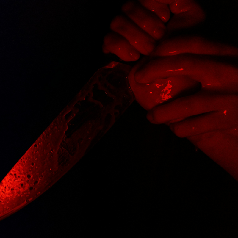 Obrázek epizody Nejnenáviděnější matka v Americe: vražda Caylee Anthony