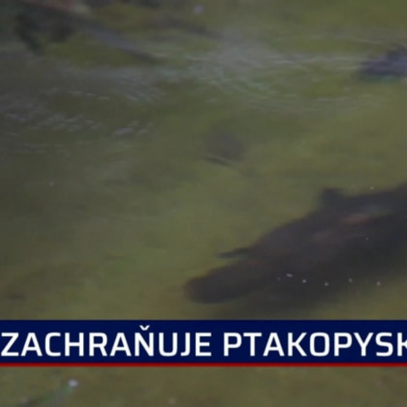 Obrázek epizody To nejlepší ze zahraničí 7.3.2021