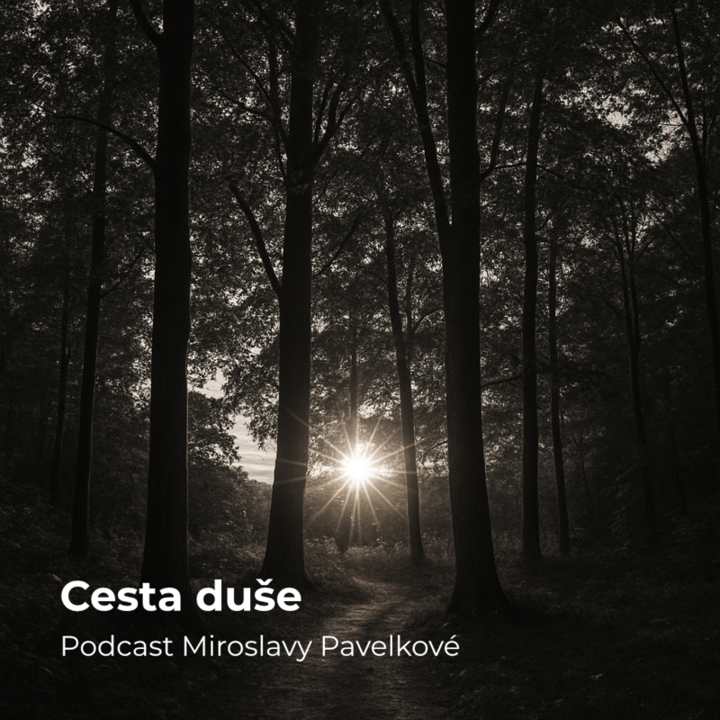 Obrázek epizody Cesta duše – jak k nám duše přicházejí, jak s námi komunikují a jak k nim přistupovat