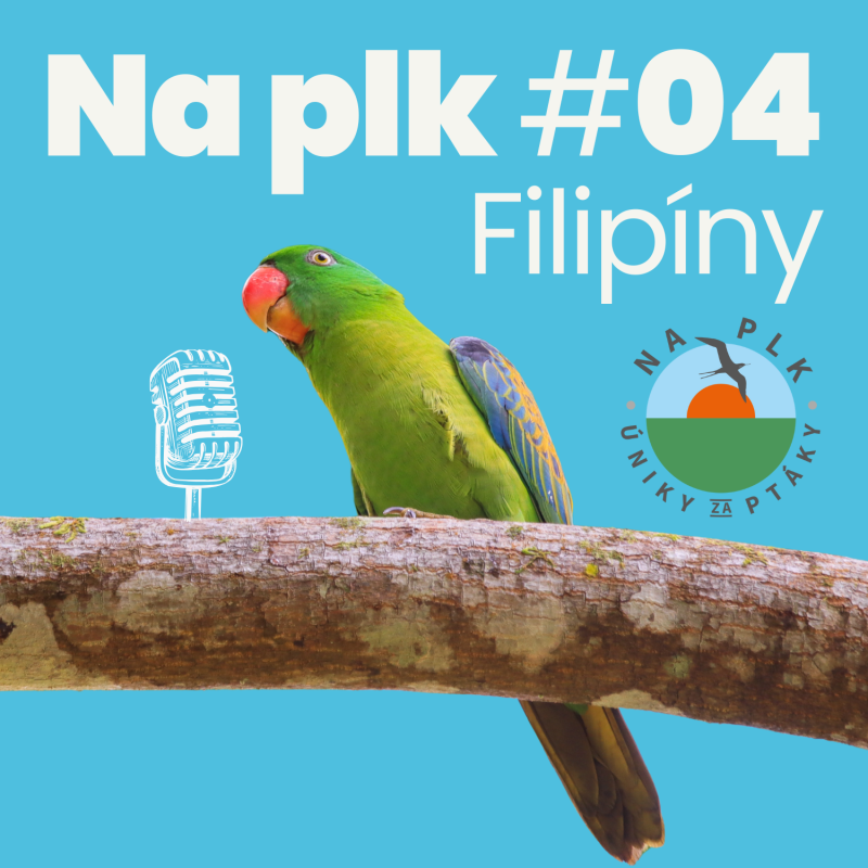Obrázek epizody Na plk #04 : Co pohledáváme na Filipínách a proč by se tam měl ptáčkař vydat?