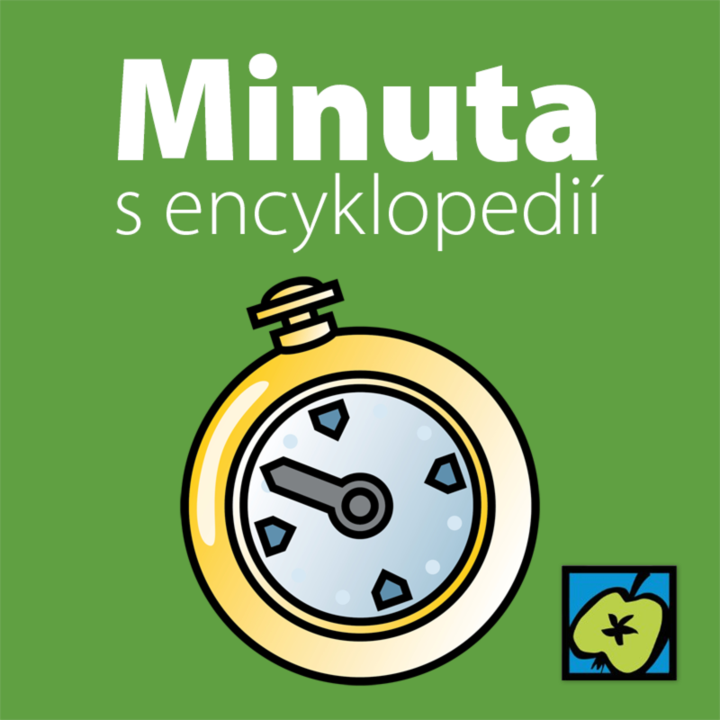 Obrázek epizody Velbloud uchem jehly