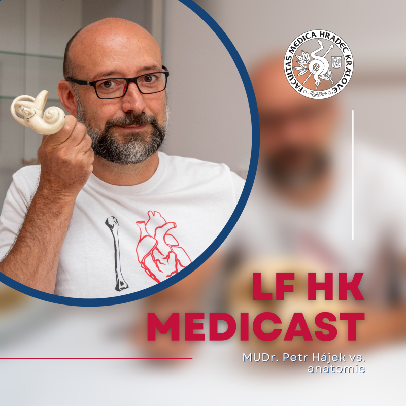 Obrázek epizody Survival Guide to Anatomy