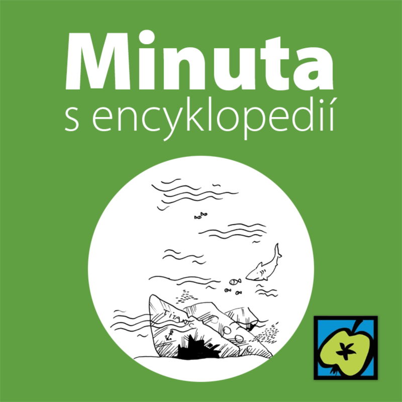 Obrázek epizody Titanik