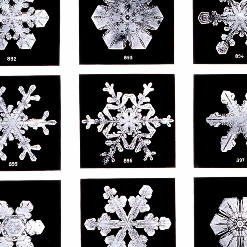 Obrázek epizody Únor 2021 s čistou myslí