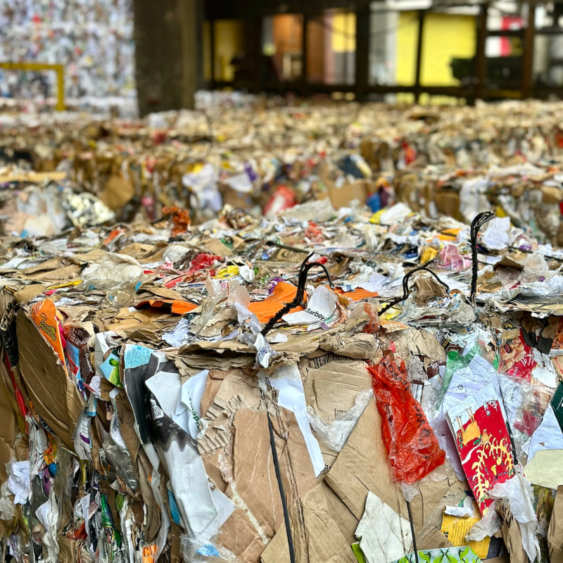 Obrázek epizody Izolace domu ze starého papíru? Recyklace, upcyklace a druhý život materiálů