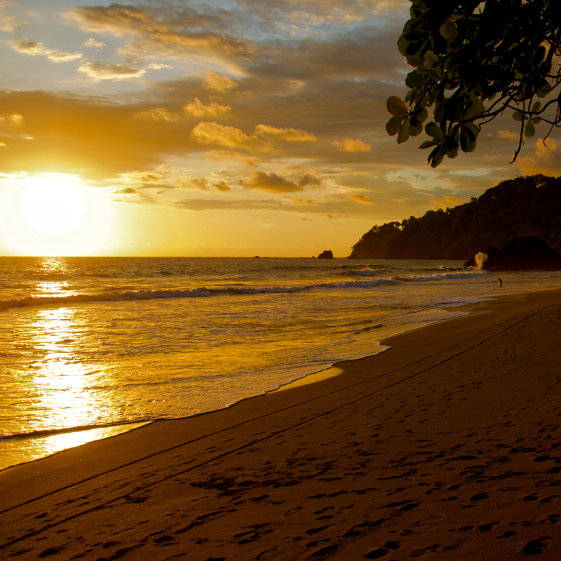 Obrázek epizody SHAVASANA - VEDENÁ RELAXACE - uvolnění těla a mysli