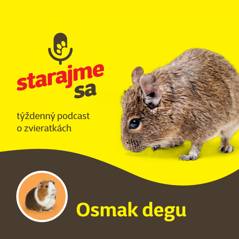 Obrázek epizody Drobné cicavce: Osmak degu