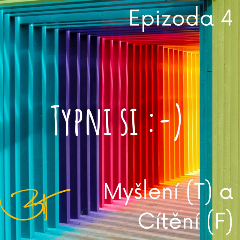 Obrázek epizody Myšlení T a cítění F