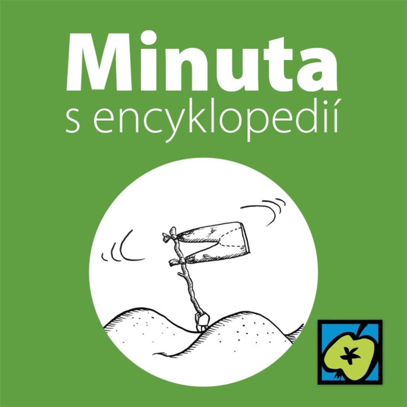 Obrázek epizody Čísla