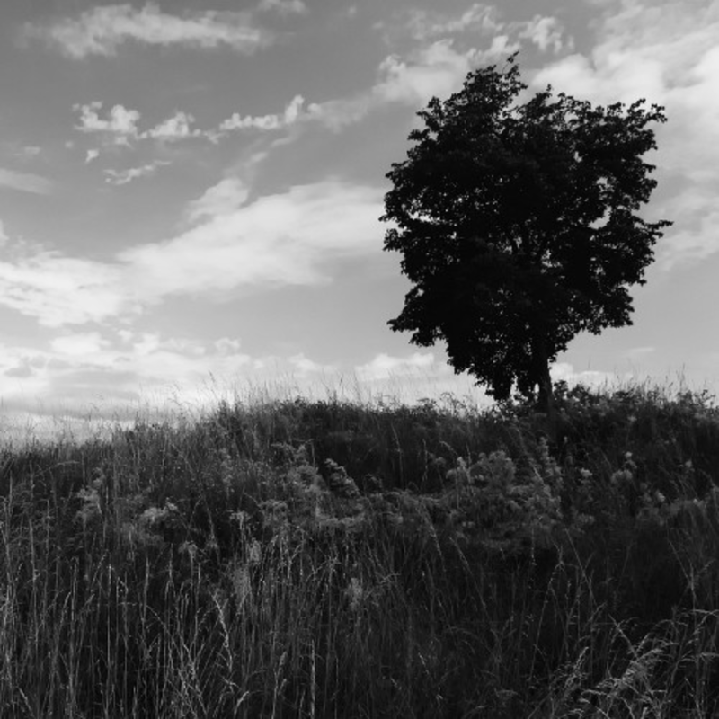 Obrázek epizody Jak jsem uvnitř vyhořel a našel cestu zpět