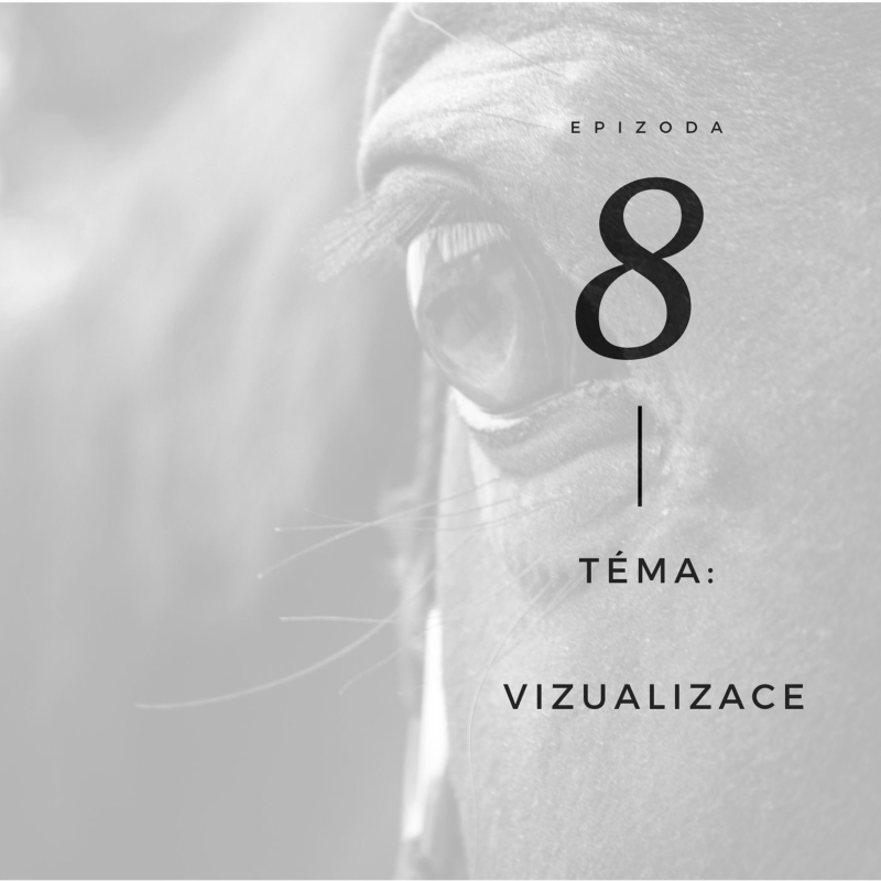 Obrázek epizody Vizualizace