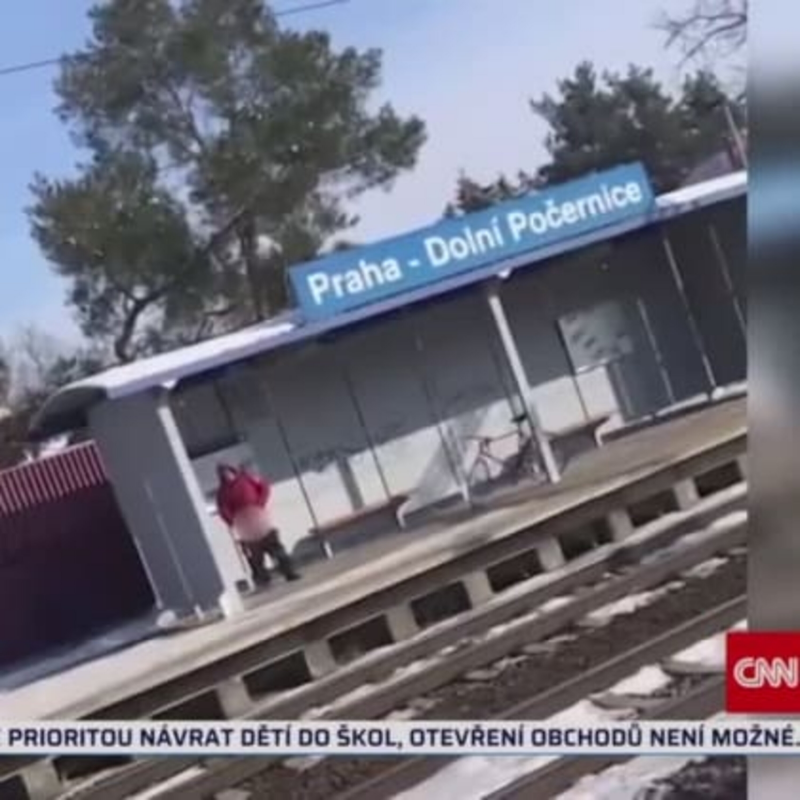 Obrázek epizody Delikvent se přihlásil policii